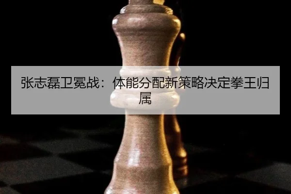 zhang-zhi-lei-wei-mian-zhan-ti-neng-fen-pei-xin-ce-lve-jue-ding-quan-wang-gui-shu-2-422.jpg