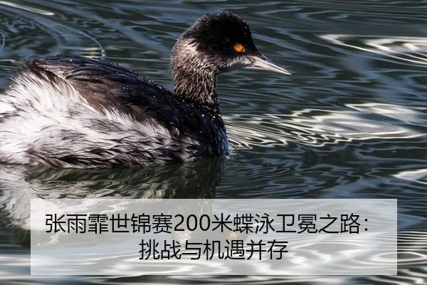 zhang-yu-fei-shi-jin-sai-mi-die-yong-wei-mian-zhi-lu-tiao-zhan-yu-ji-yu-bing-cun-3-805.jpg