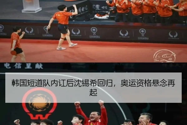 韩国短道队内讧后沈锡希回归，奥运资格悬念再起