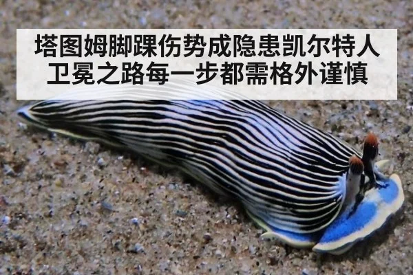 塔图姆脚踝伤势成隐患凯尔特人卫冕之路每一步都需格外谨慎